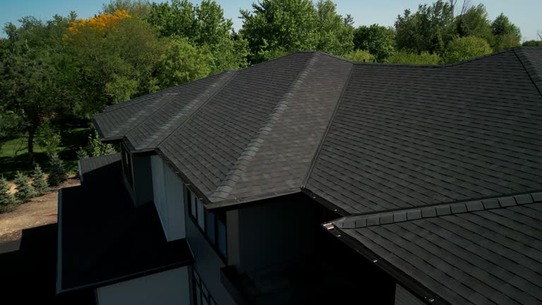 Best Sheet Metal Roofing  in Fraser, MI