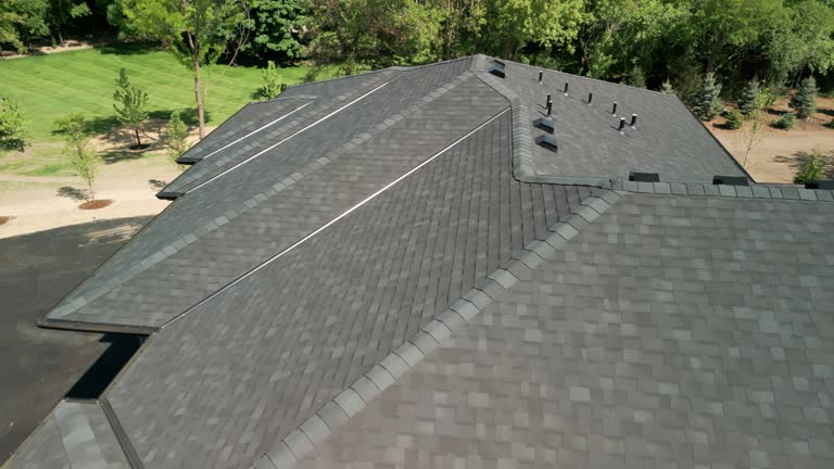 Best Solar Panel Roofing Installation  in Fraser, MI