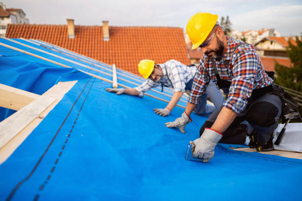 Best Storm Damage Roof Repair  in Fraser, MI