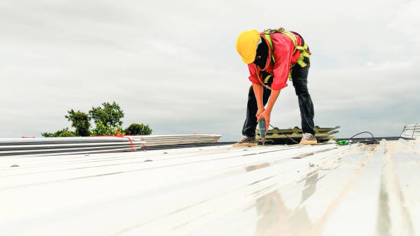 Best Skylight Installation and Repair  in Fraser, MI