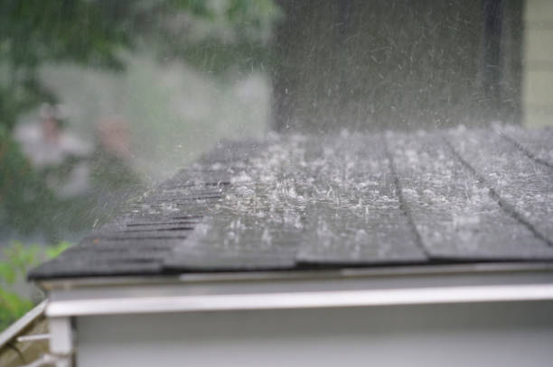 Best 4 Ply Roofing  in Fraser, MI