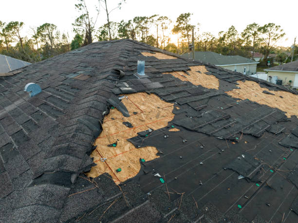 Best Commercial Roofing Services  in Fraser, MI